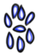 Image of the occurrence